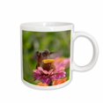 thumbnail image 1 of 3drose, Hummingbird Dance - Zinnia Flower - Photography, 11oz Mug, 1 of 6
