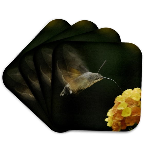 3drose, Hummingbird Hawk-moth Bird Drinking, Switzerland - Na02 Rnu0162 - Rolf Nussbaumer, Set of 4 Coasters - Soft