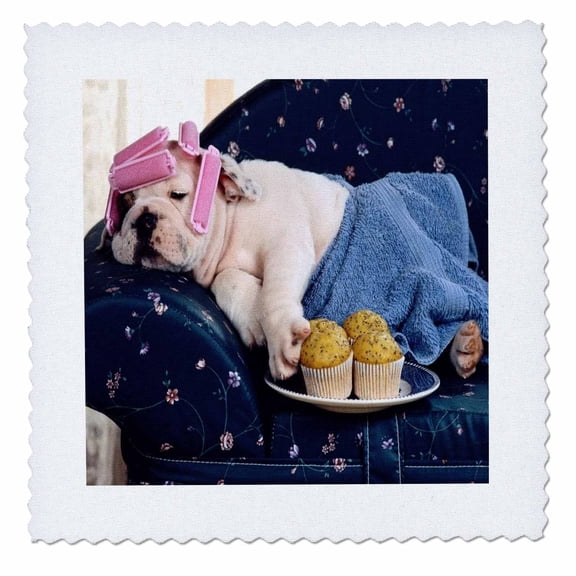 3dRose, Humorous Dog Resting With Curlers, 10x10 inch quilt square