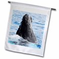 thumbnail image 1 of 3dRose, Humpback Whale , 12 x 18 inch Garden Flag, 1 of 1