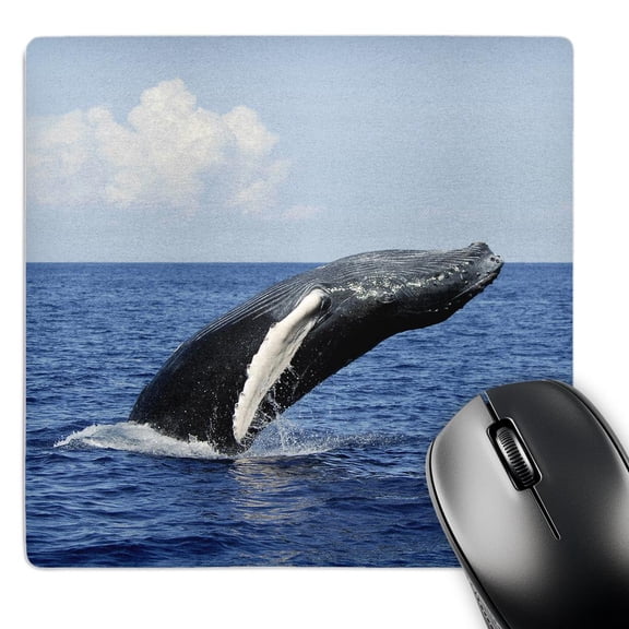 3dRose, Humpback Whale , MousePad