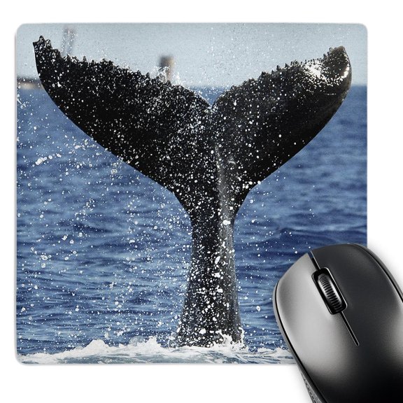 3dRose, Humpback Whale , MousePad