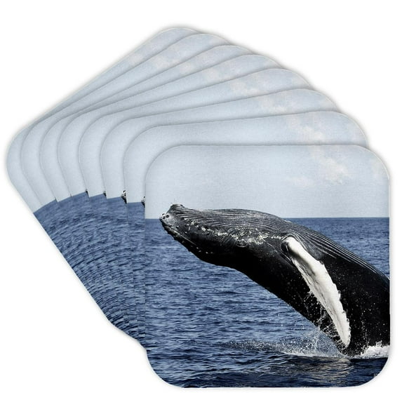 3drose, Humpback Whale, Set of 8 Coasters - Soft