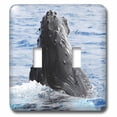 thumbnail image 1 of 3dRose, Humpback Whale , double toggle switch, 1 of 1