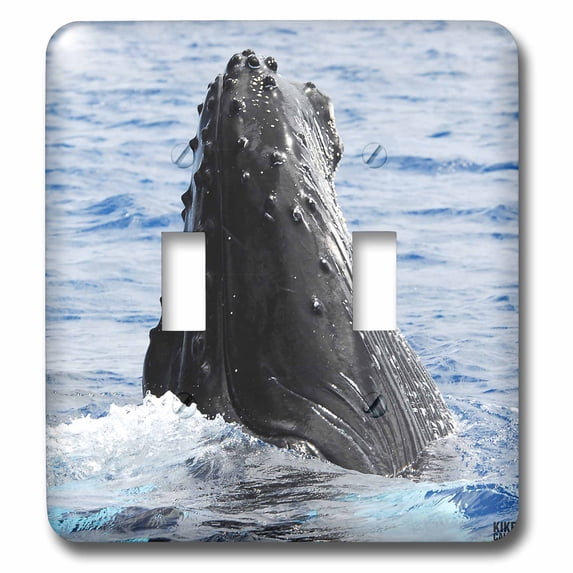 3dRose, Humpback Whale , double toggle switch