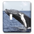 thumbnail image 1 of 3dRose, Humpback Whale, double toggle switch, 1 of 1