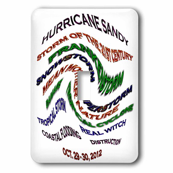 3dRose, Hurricane Sandy Words, single toggle switch