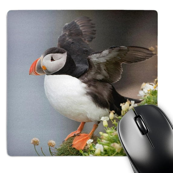 3dRose, Iceland, Breidavik. Puffin amid flowers on a cliff, MousePad