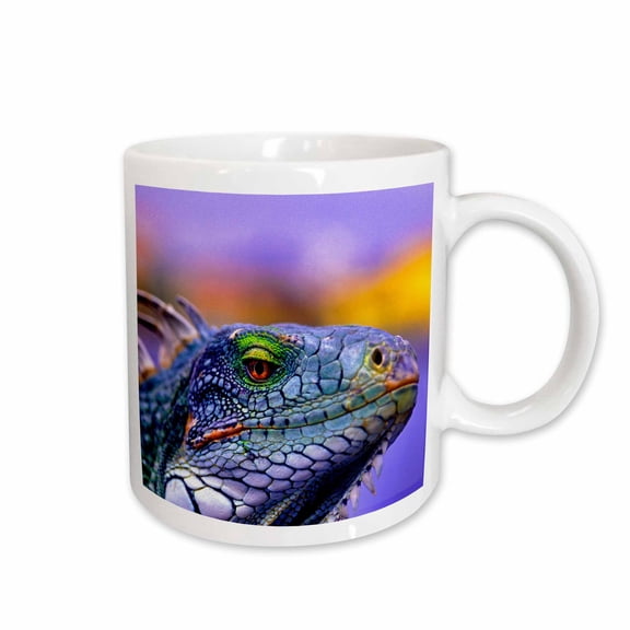 3drose, Iguana Portrait in Front of Willemstad, Curacao, 11oz Mug