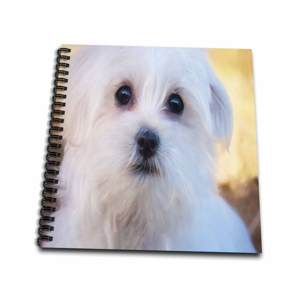 3dRose, Image of Adorable Portrait Of A Westie, Mini Notepad 4 x 4 inch