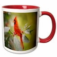 thumbnail image 1 of 3drose, Image of Bright Red Cardinal Poses on Branch, 15oz Two-tone Red Mug, 1 of 6