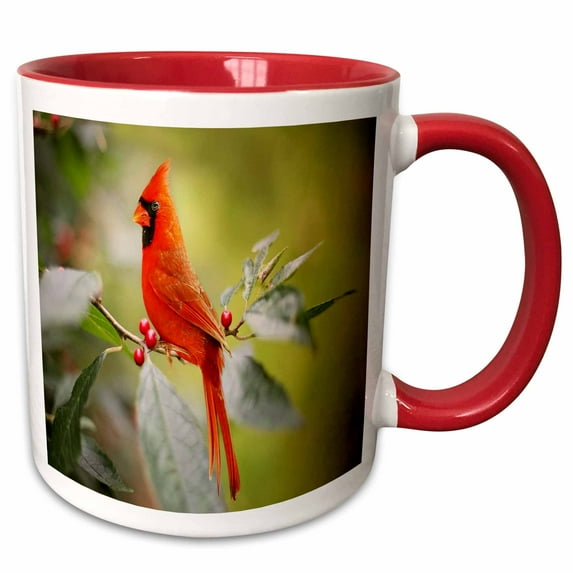 3drose, Image of Bright Red Cardinal Poses on Branch, 15oz Two-tone Red Mug