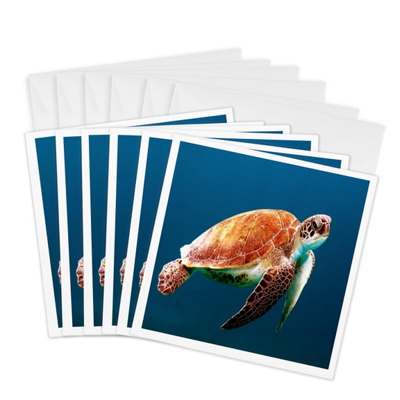 3drose, Image of Closeup of Large Turtle Underwater, 6 Greeting Cards with Envelopes