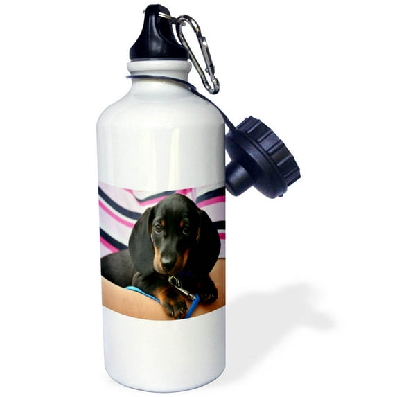 3dRose, Image of Dachshund Puppy Portrait, Flip Straw 21oz Water Bottle
