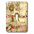 thumbnail image 1 of 3dRose, Image of Digital Abstract Painting In Olive Red And Cream, single toggle switch, 1 of 1