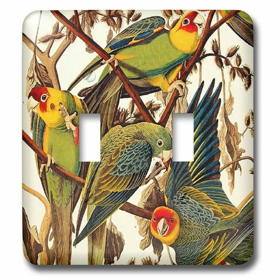 3dRose, Image of John Audubon Parrots Painting, double toggle switch