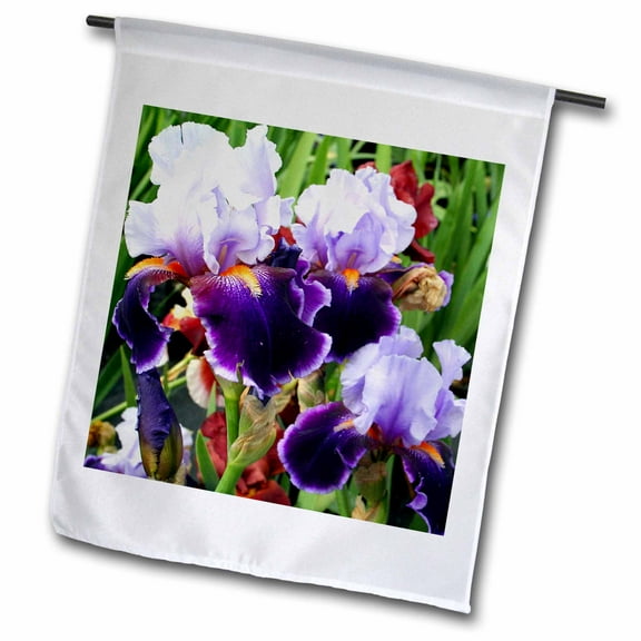 3dRose, Image of Purple Irises, 12 x 18 inch Garden Flag