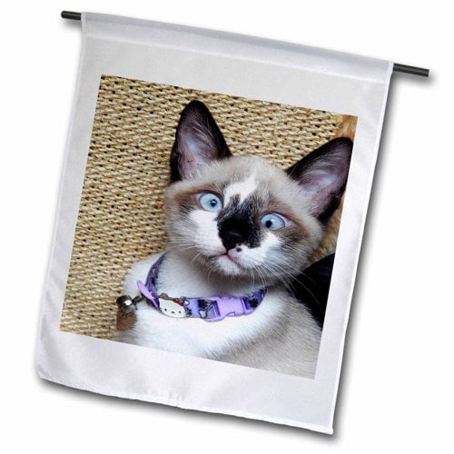 3dRose, Image of Real Funny And Cute Cat Face , 18 x 27 inch Garden Flag