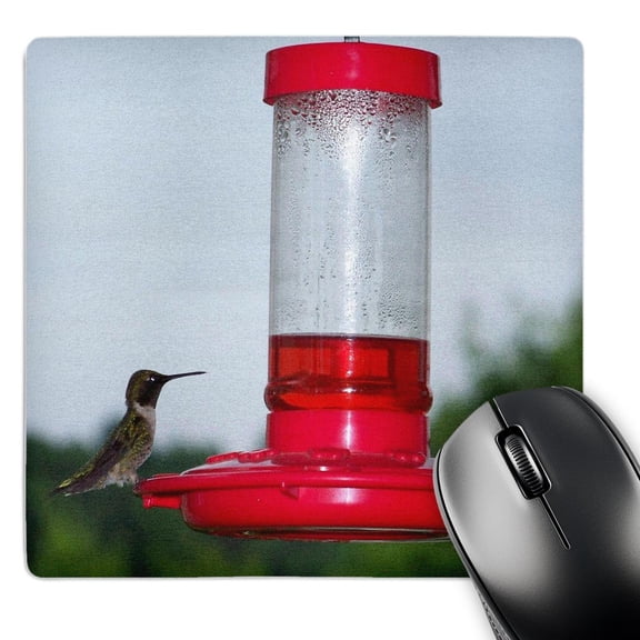 3dRose, Image of a Hummingbird On Feeder, MousePad