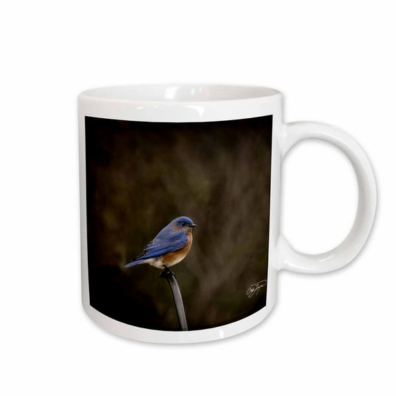 3drose, Incredible Eastern Bluebirds Soft Powder Blue Wildlife, 15oz Mug