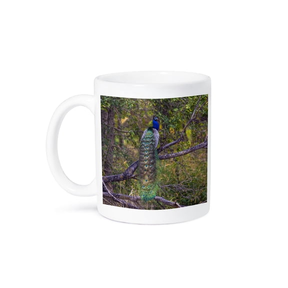 3drose, India. Peacock, Pavo Cristatus., 15oz Mug