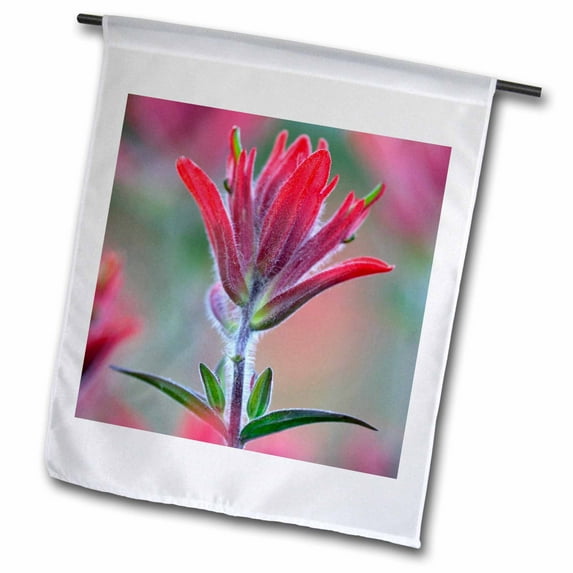 3dRose, Indian Paintbrush, Scarlet Paintbrush, Flower - NA01 FZU0004 - Frank Zurey, 12 x 18 inch Garden Flag