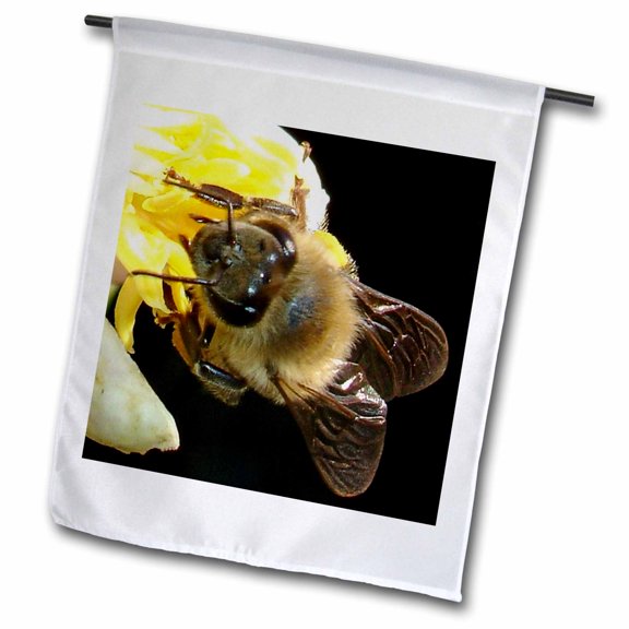3dRose, Insects Honey Bee, 12 x 18 inch Garden Flag