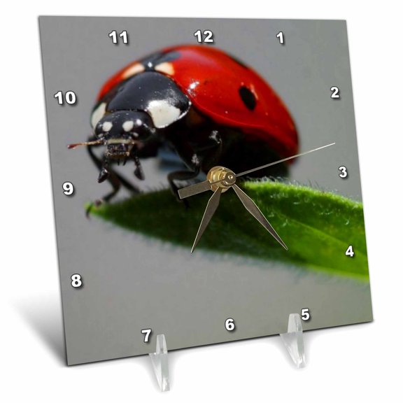 3dRose, Insects Ladybug, 6x6 Desk Clock