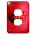 thumbnail image 1 of 3dRose, Inside the Pink Hibiscus 3, 2 plug outlet cover, 1 of 1