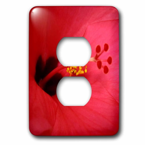 3dRose, Inside the Pink Hibiscus 3, 2 plug outlet cover