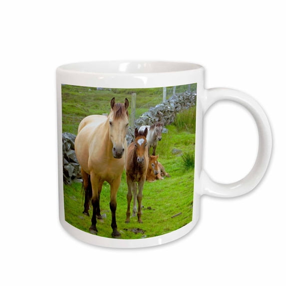 3drose, Ireland. Farm Horses of the Connemara - Eu15 Kwi0001 - Kymri Wilt, 11oz Mug