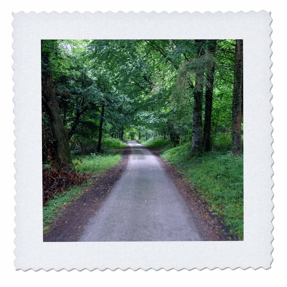 3dRose, Ireland, Killarney National Park forest path - EU15 CMI0139 - Cindy Miller Hopkins, 10x10 inch quilt square