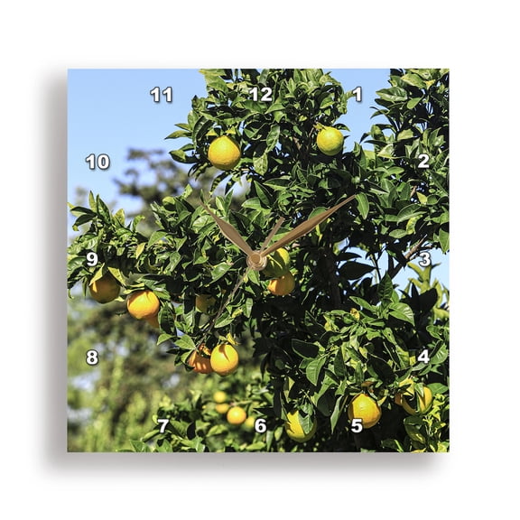 3dRose, Italy. Bright yellow lemons on a lemon tree., 15x15 Wall Clock