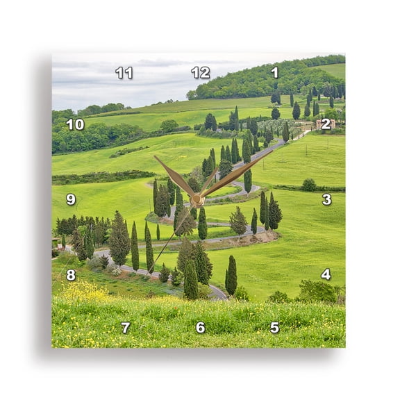 3dRose, Italy, Tuscany. Monticello, Winding road through fields of crops, 15x15 Wall Clock