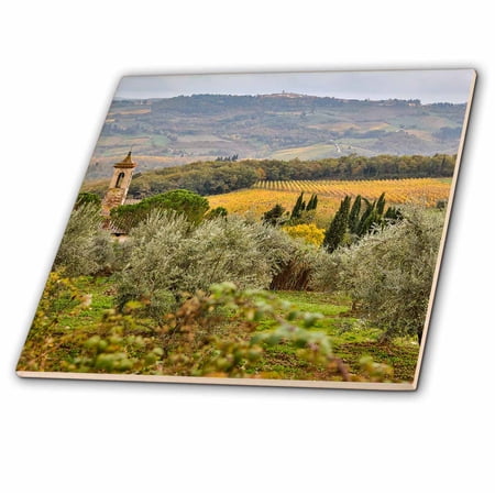3dRose, Italy, Tuscany, San Gimignano, Outside San Gimignano, 8 Inch Ceramic Tile