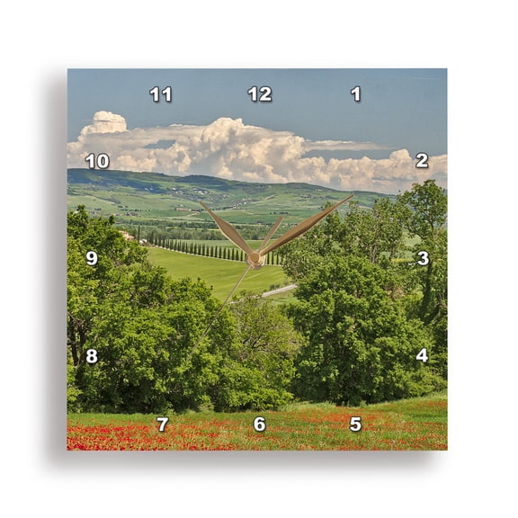3dRose, Italy, Tuscany. View of long rows of cypress trees and villa, 15x15 Wall Clock