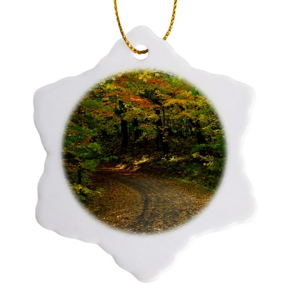 3drose, Itasca State Park, Minnesota, Usa, Bike Path, 3 inch Snowflake Porcelain Ornament