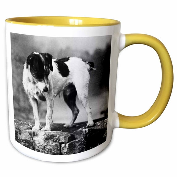 3drose, Jack Russell Terrier (black and White), 15oz Two-tone Yellow Mug