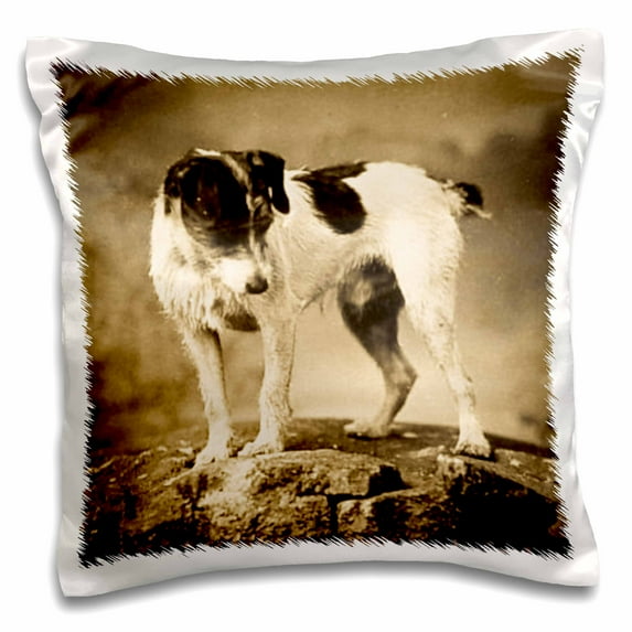 3dRose, Jack Russell Terrier (Sepia Aged), 16x16 inch Pillow Case