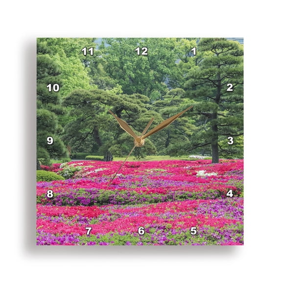 3dRose, Japan, Tokyo. Imperial Palace East Garden, azalea garden, 15x15 Wall Clock