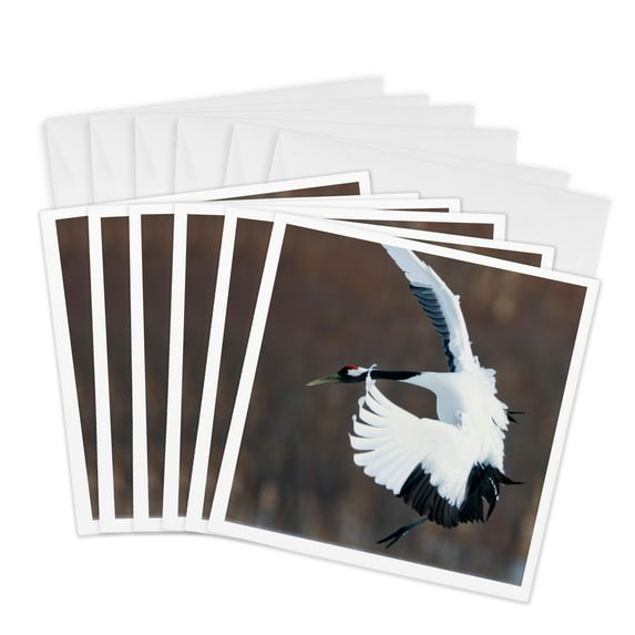 3drose, Japanese Crane, Hokkaido, Japan., 6 Greeting Cards with Envelopes