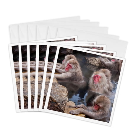 3dRose, Japanese macaque, Honshu, Japan, 6 Greeting Cards with envelopes