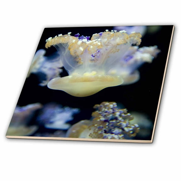 3dRose, Jelly Fish, Monterey Bay Aquarium, California - US05 JGS0138 - Jim Goldstein, 4 Inch Ceramic Tile
