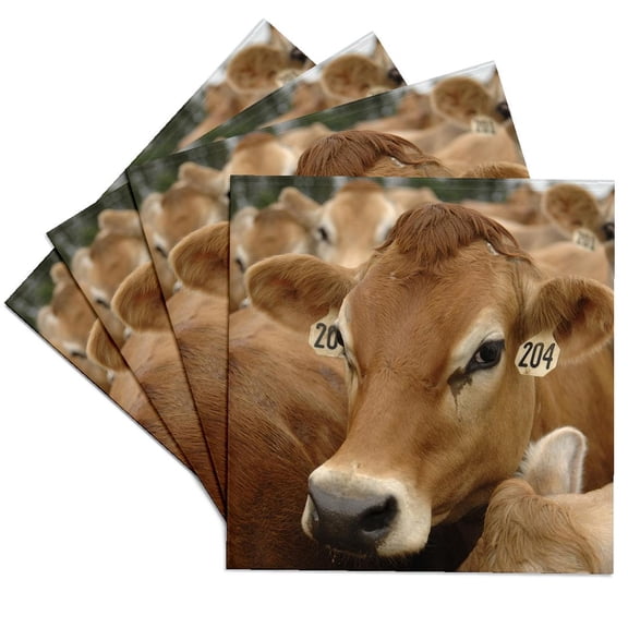 3dRose, Jersey Dairy Cows, Rib Lake, Wisconsin - US50 KRS0004 - Keith and Rebecca Snell, Set of 4 Ceramic Tile Coasters
