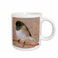 thumbnail image 1 of 3drose, Junco Bird, 15oz Mug, 1 of 6