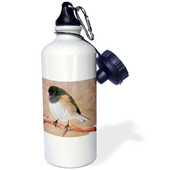 3dRose, Junco Bird, 21 oz Sports Water Bottle