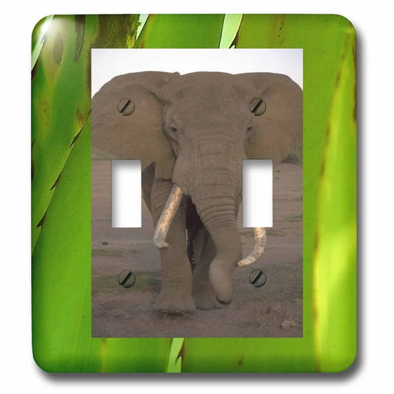 3dRose, Jungle Elephant, double toggle switch