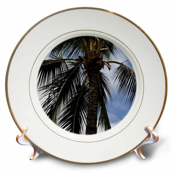 3dRose, Kauai Palm Tree, 8 inch Porcelain Plate