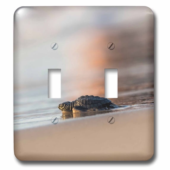 3dRose, Kemps Ridley Sea Turtle, Lepidochelys kempii, hatchling on the beach, double toggle switch