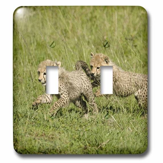 3dRose, Kenya, Masai Mara Game Reserve, Cheetah cubs-AF21 JMC0206 - Joe and Mary Ann McDonald, double toggle switch